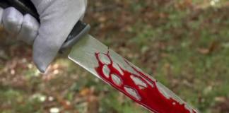 Grade 11 Pupil Fatally Stabbed at Mpumalanga School