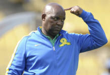 I can no longer carry pregnancy because of you: Maid tells Pitso "Jingles" Mosimane, demands R5.7 million in damages