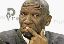 Social media darling slaps outgoing Police Minister Bheki Cele slapped with a R10 million lawsuit