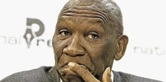 Mary de Haas accuses Parliament of ignoring her warnings on Bheki Cele’s ‘criminal conduct’ and interference in political killings probe