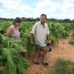 ZIMBABWE’S SHOCKING U-TURN: 67 Seized Farms to be Given Back to Foreigners!