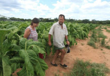 ZIMBABWE’S SHOCKING U-TURN: 67 Seized Farms to be Given Back to Foreigners!