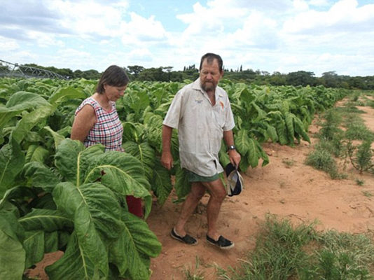 ZIMBABWE’S SHOCKING U-TURN: 67 Seized Farms to be Given Back to Foreigners!