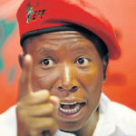 Trump's Influence? Malema Claims Political Conspiracy Amidst Firearm Sentencing
