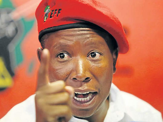 Gloves off as Elon Musk wants Julius Malema to be sanctioned and declared an international criminal