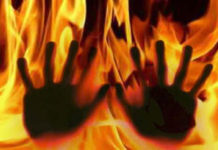 Delft Fire Horror: Four Dead in Cape Flats Blaze