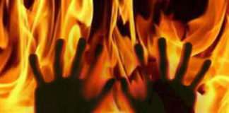 Delft Fire Horror: Four Dead in Cape Flats Blaze