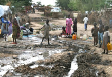 We can't live in Zim anymore, we're coming back: Zimbabweans who've gone back home reveal sad news