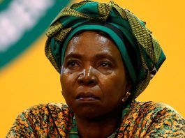 Nkosazana Dlamini-Zuma Apologises To Lamola After Vote Buying Claim And Leaves Mbalula’s Court Fight Unresolved