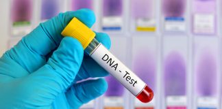 Justice at Last? Shocking DNA Breakthrough in the Emmanuel Mbense Murder Mystery