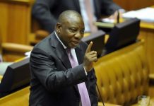 NEW TWIST: President Ramaphosa has nothing to do with Phala Phala theft, he is just a shareholder