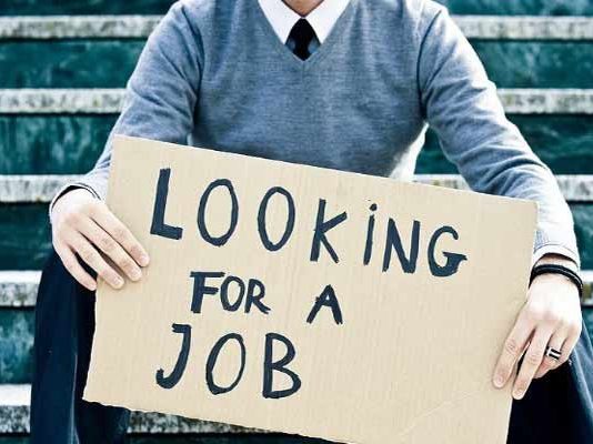 Digital Marketing Lead / Content Producer Wanted