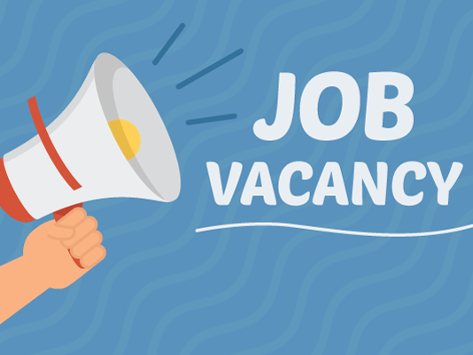 Good News to Job Seekers: South African companies to remove degree requirements for some positions!