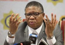 190,000 driver's licenses to be cancelled as Minister Mbalula introduces more strict rules