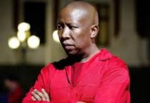 Malema Admits Friendship with Controversial Businessman Ze Nxumalo – Denies EFF Link to Tender Scandal