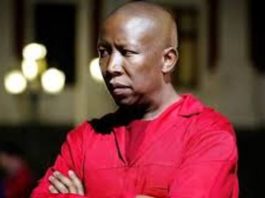 Malema Admits Friendship with Controversial Businessman Ze Nxumalo – Denies EFF Link to Tender Scandal
