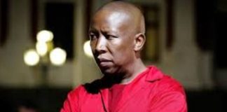 Malema Admits Friendship with Controversial Businessman Ze Nxumalo – Denies EFF Link to Tender Scandal