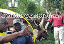 Lamola threatens anyone who questions NPA about Ramaphosa's Phala Phala with 10 years in prison