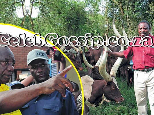 Lamola threatens anyone who questions NPA about Ramaphosa's Phala Phala with 10 years in prison