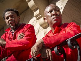 Mbuyiseni Ndlozi "Claps Back" at Julius Malema After Scathing Attack on Police Commissioner Nhlanhla Mkhwanazi