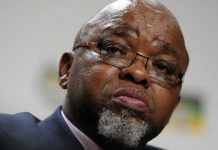 Plans to humiliate ANC Chairman Gwede Mantashe in a political witch hunt leak: He will be arrested in a few days