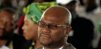 Nathi Mthethwa Death Probe: What Really Happened To The SAPS Team Sent To France After Mthethwa’s Death?