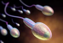 UWC Calls on Young Men to Donate Semen for Groundbreaking Fertility Research
