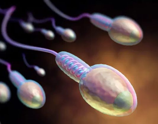 UWC Calls on Young Men to Donate Semen for Groundbreaking Fertility Research