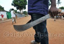 Blood On The Tracks! Metrorail Commuters Leap From Moving Train To Escape Machete-Wielding Robbery Syndicate
