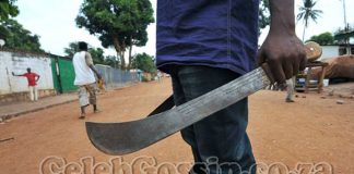 Blood On The Tracks! Metrorail Commuters Leap From Moving Train To Escape Machete-Wielding Robbery Syndicate