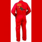 The EFF’s R160 Billion Jackpot: Gauteng’s Wealth Handed to the Red Berets in Desperate Coalition Deal