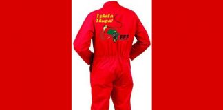 The EFF’s R160 Billion Jackpot: Gauteng’s Wealth Handed to the Red Berets in Desperate Coalition Deal