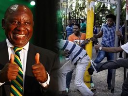 Civil society groups slam South African government for failing to stop xenophobic attacks and forced evictions that leave families homeless and traumatised