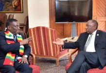 Zimbabwe authorities harass or arrest almost all South African celebrities who perform in Zim