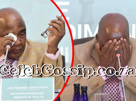 178,000 Zimbabweans want me to automatically give them SA Permanent Residency status: Motsoaledi reveals