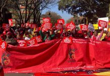 Why Cosatu general secretary Bheki Ntshalintshali was 'fired': We told him, he didn't listen