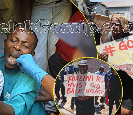 Operation Dudula vows to get 180,000 Zimbabweans deported this year, sues Minister Motsoaledi