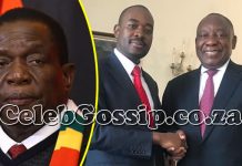 Nelson Chamisa begs South Africans to give Zimbabweans 400 more days: We'll never bother you again