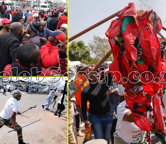 Royal rumble wrestling as Operation Dudula brutally beat up EFF members for defending foreigners