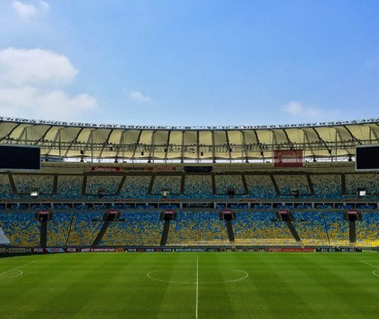 Which Sports Do People in South Africa Love the Most?