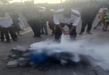 Angry residents stoned, stabbed and burnt to death 3 pit bulls