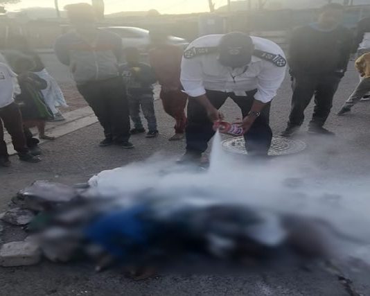 Angry residents stoned, stabbed and burnt to death 3 pit bulls