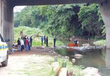 KZN man drowns trying to save his cow