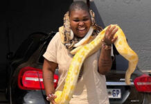 Sangoma Gogo Maweni bitten by a snake