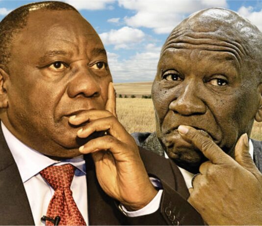 These 6 senior ANC officials have already lost their jobs as Ramaphosa's cabinet ministers: Goodbye Bheki Cele