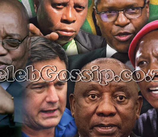 Full list of how much South African political party leaders are earning: Ramaphosa's salary is a cool R4.2 million!