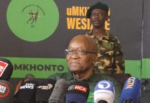 Top politicians flood Jacob Zuma's MK Party: Another political party boss resigns and joins MKP as Manyi gets promoted already