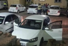 Young couple enjoying their love in the car shot dead by jealousy Durban thugs