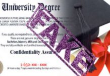 DA leader's 'dubious' doctorate degree causes stir: Yes, my qualifications are not recognised in South Africa