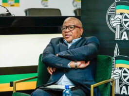 Judge Rules Against Mogotsi, Grants Mbalula Gag Order Over Defamation